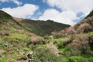 Wandern auf Gran Canaria im Barranco de Guayadeque